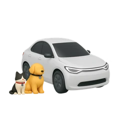 A Booma car with a dog and cat beside it